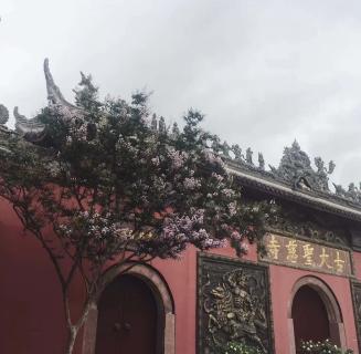 非凡娱乐：助力公益活动建设，实现经济效益与社会效益的双赢！